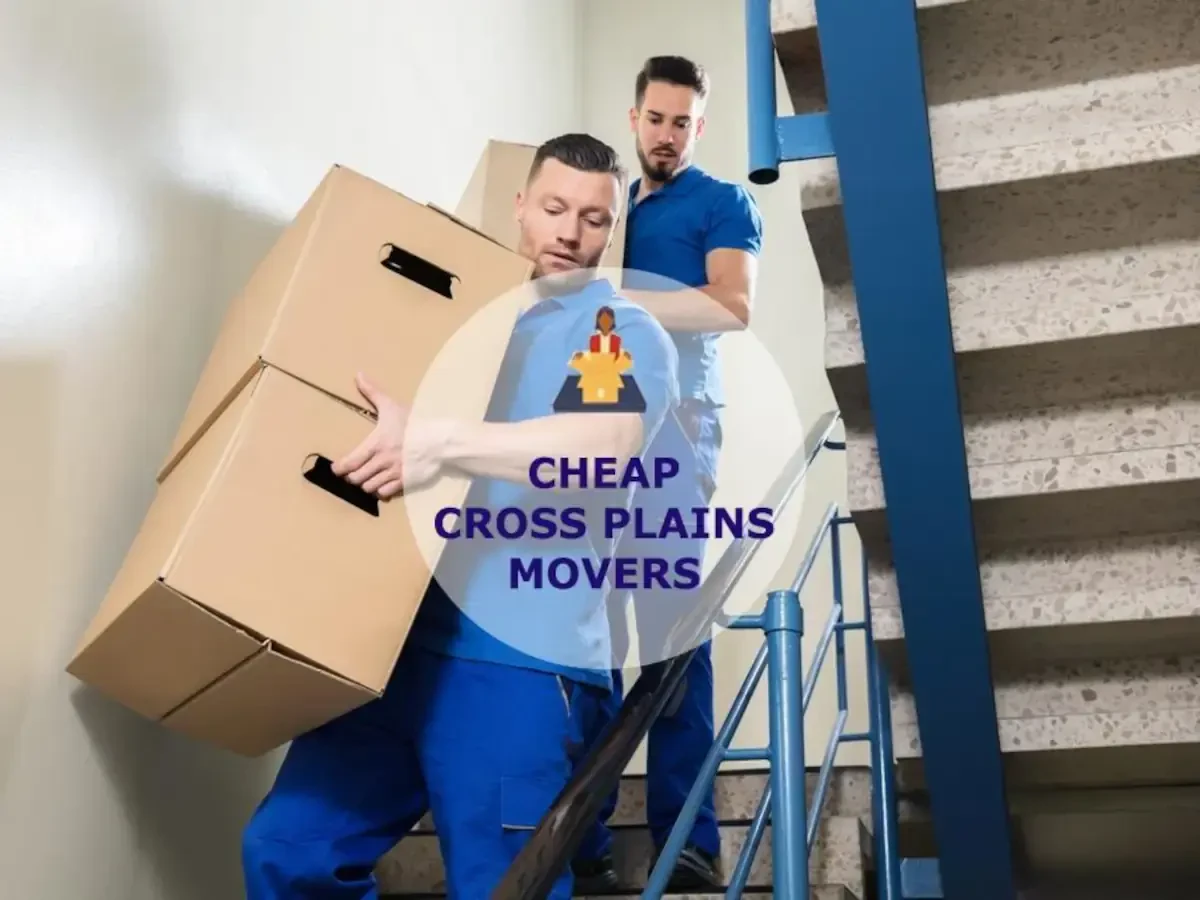 Best Cross Plains Movers Near Me – Premium Cross Plains, TN Moving Companies
