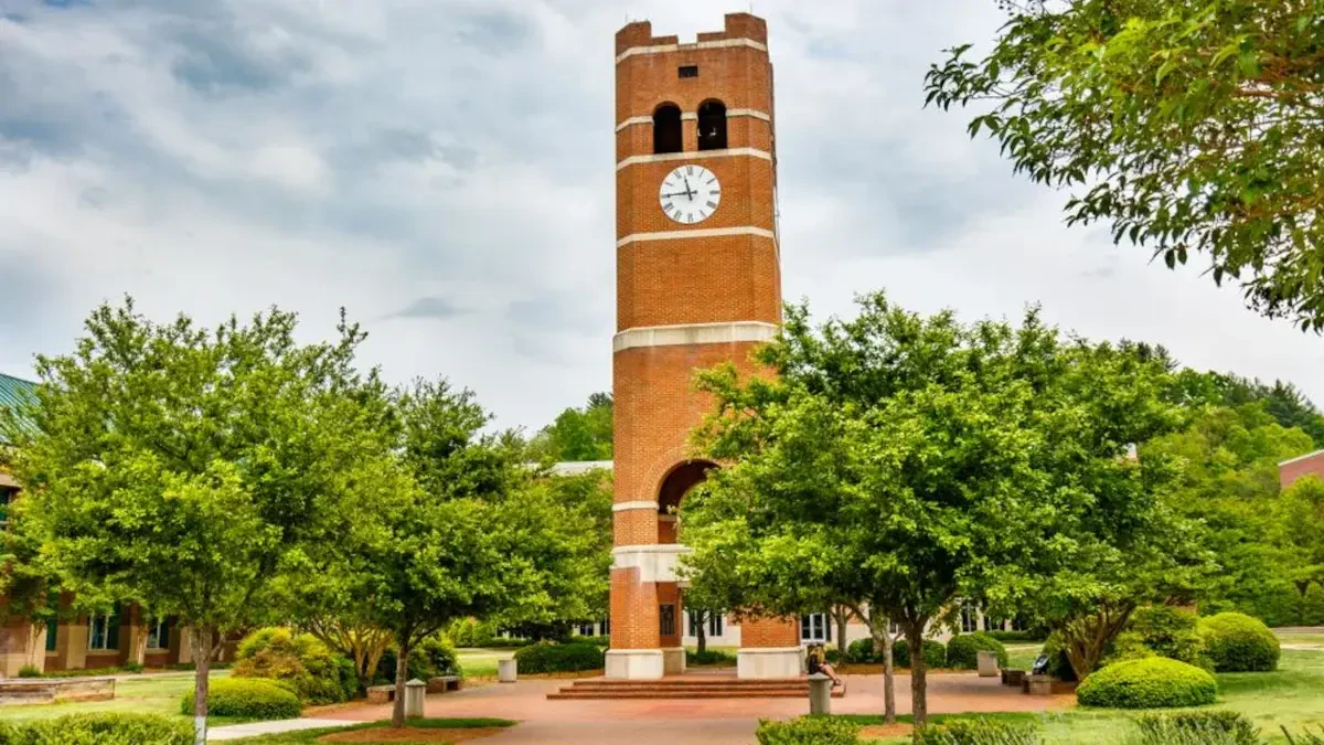 Best Cullowhee Movers Near Me – Premium Cullowhee, NC Moving Companies