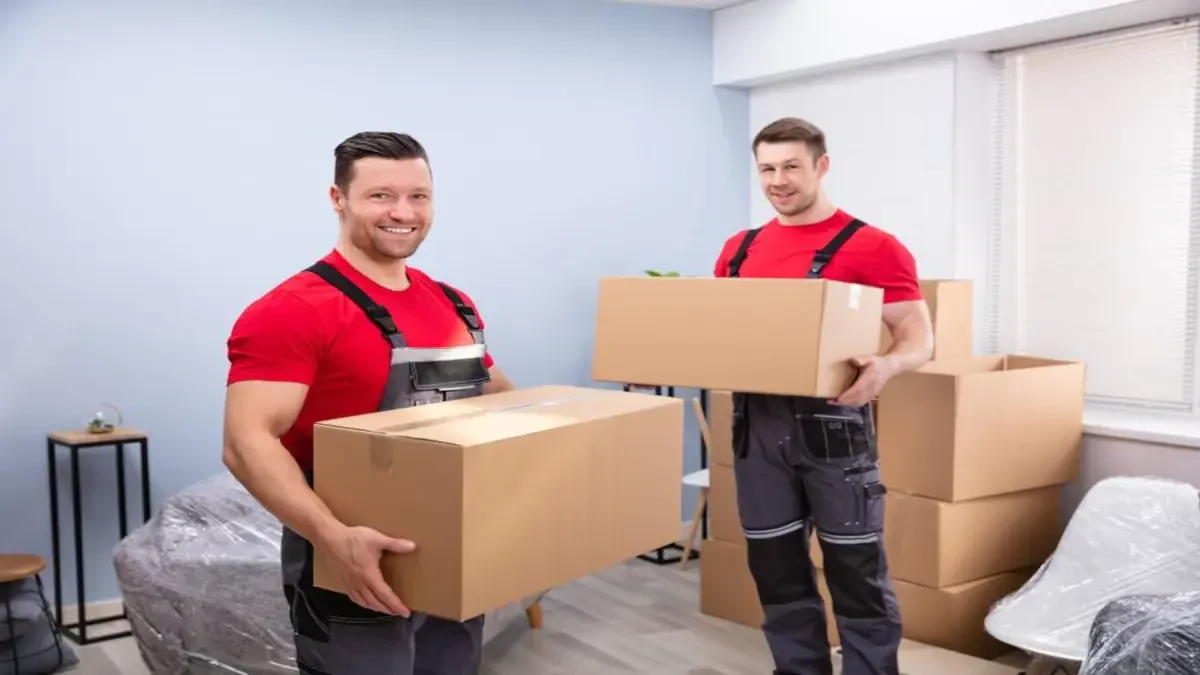 Best Cusseta Chattahoochee County Movers Near Me – Premium Cusseta Chattahoochee County, GA Moving Companies