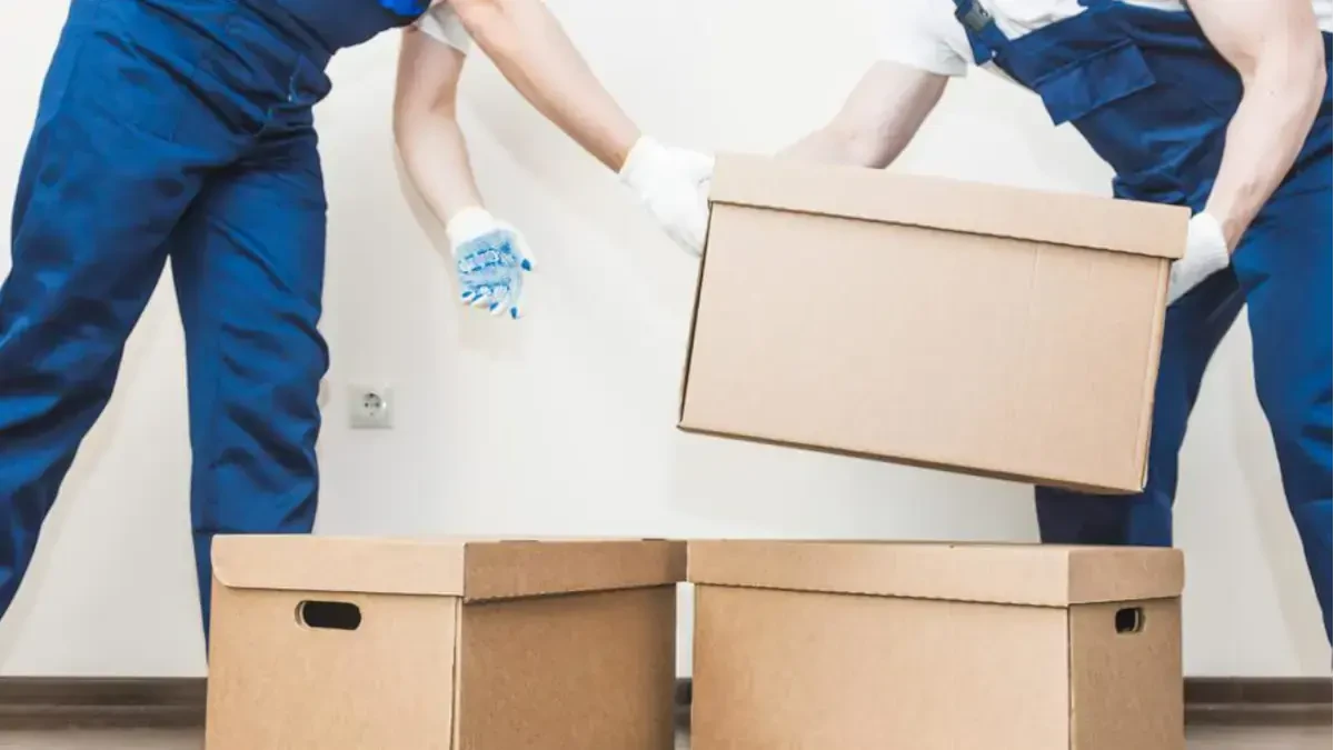 Best Custer County Movers Near Me – Premium Custer County, ID Moving Companies