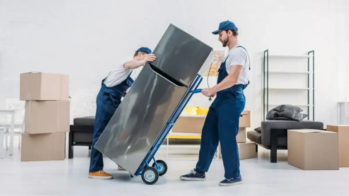 Best Danby Movers Near Me – Premium Danby, NY Moving Companies