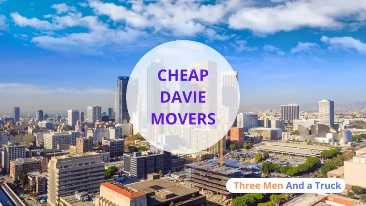 Best Davie Movers – Residential & Commercial Moving Solutions