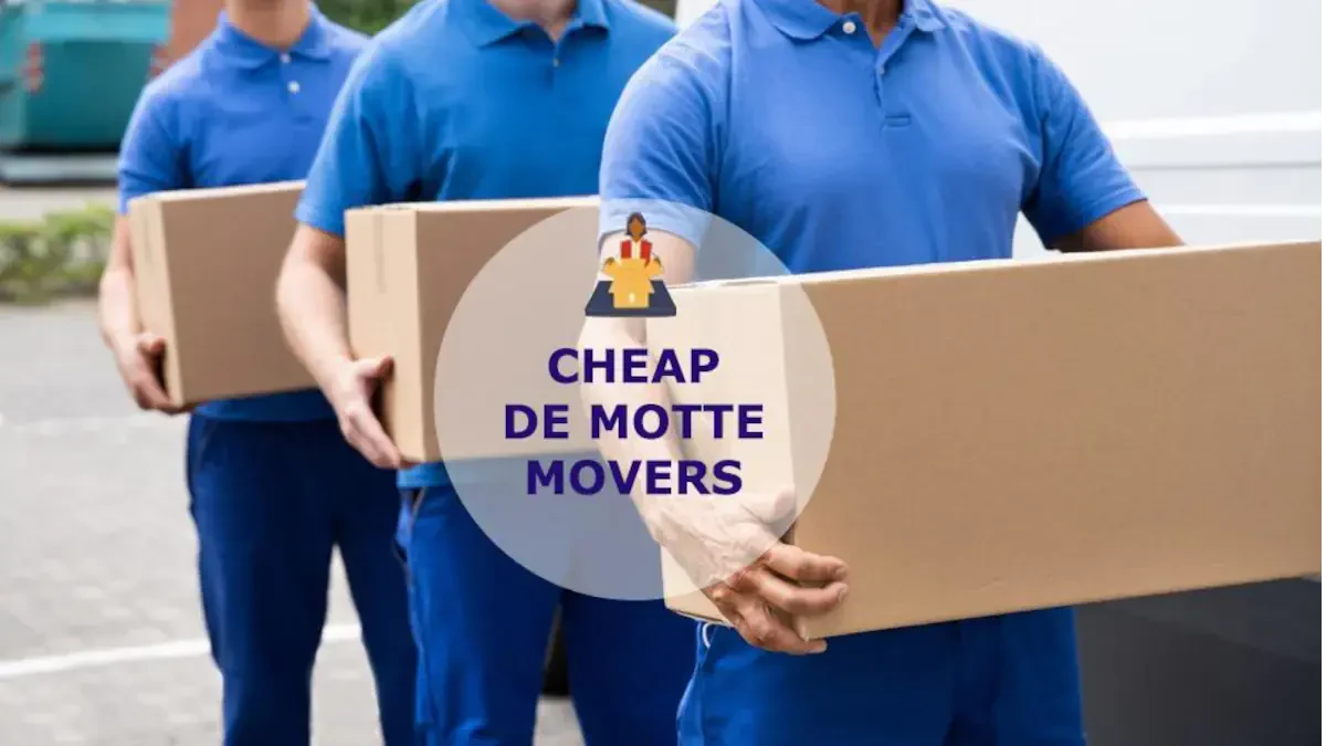 Best De Motte Movers Near Me – Premium De Motte, IN Moving Companies