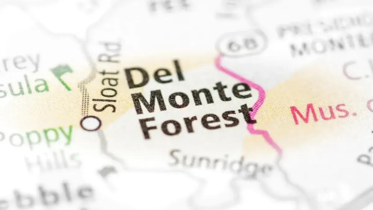 Best Del Monte Forest Movers Near Me – Premium Del Monte Forest, CA Moving Companies
