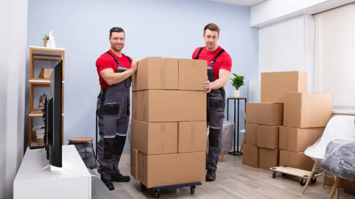 Best Delhi Village Movers Near Me – Premium Delhi Village, NY Moving Companies