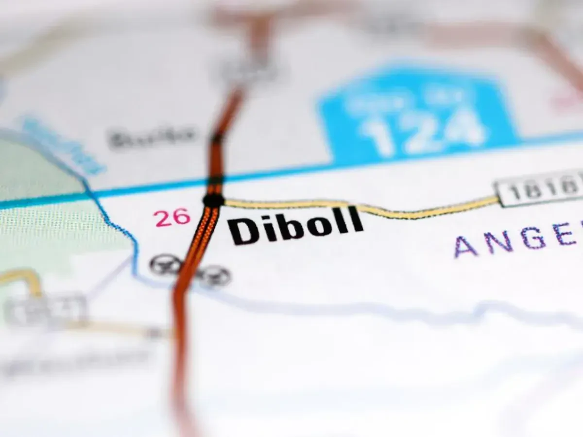 Best Diboll Movers Near Me – Premium Diboll, TX Moving Companies