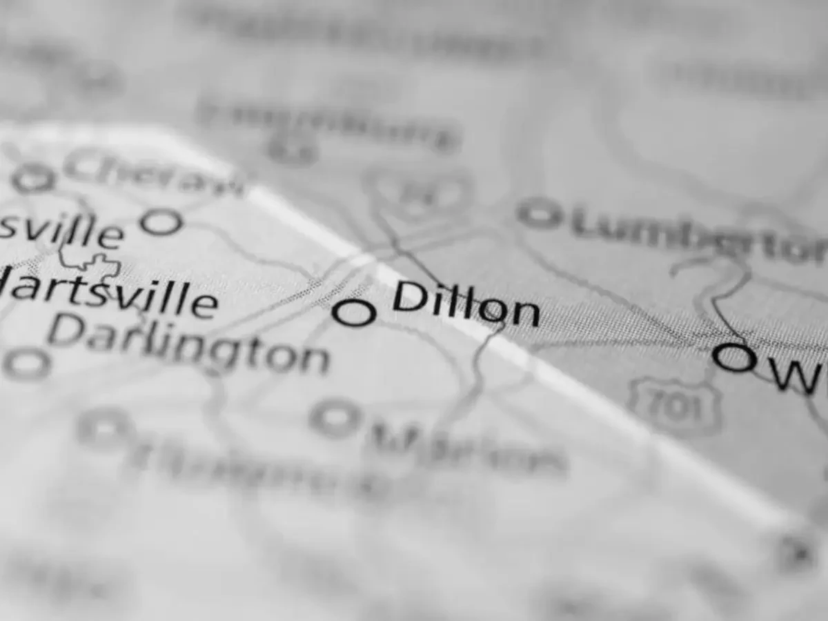 Best Dillon Movers Near Me – Premium Dillon, SC Moving Companies