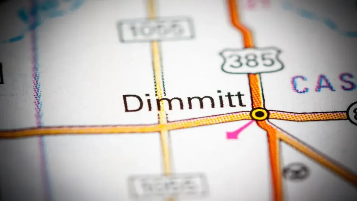 Best Dimmitt Movers Near Me – Premium Dimmitt, TX Moving Companies