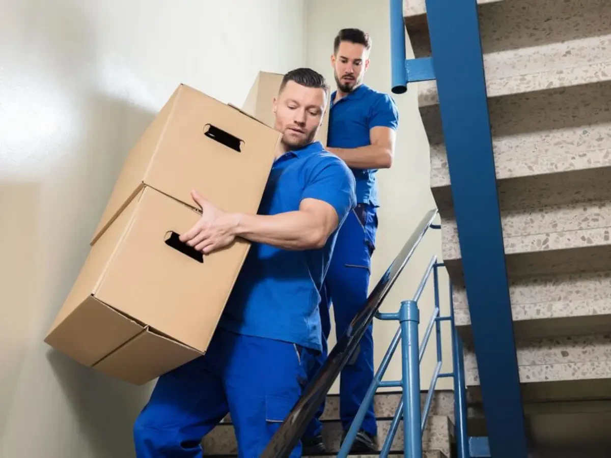 Best Dixon Lane Meadow Creek Movers Near Me – Premium Dixon Lane Meadow Creek, CA Moving Companies