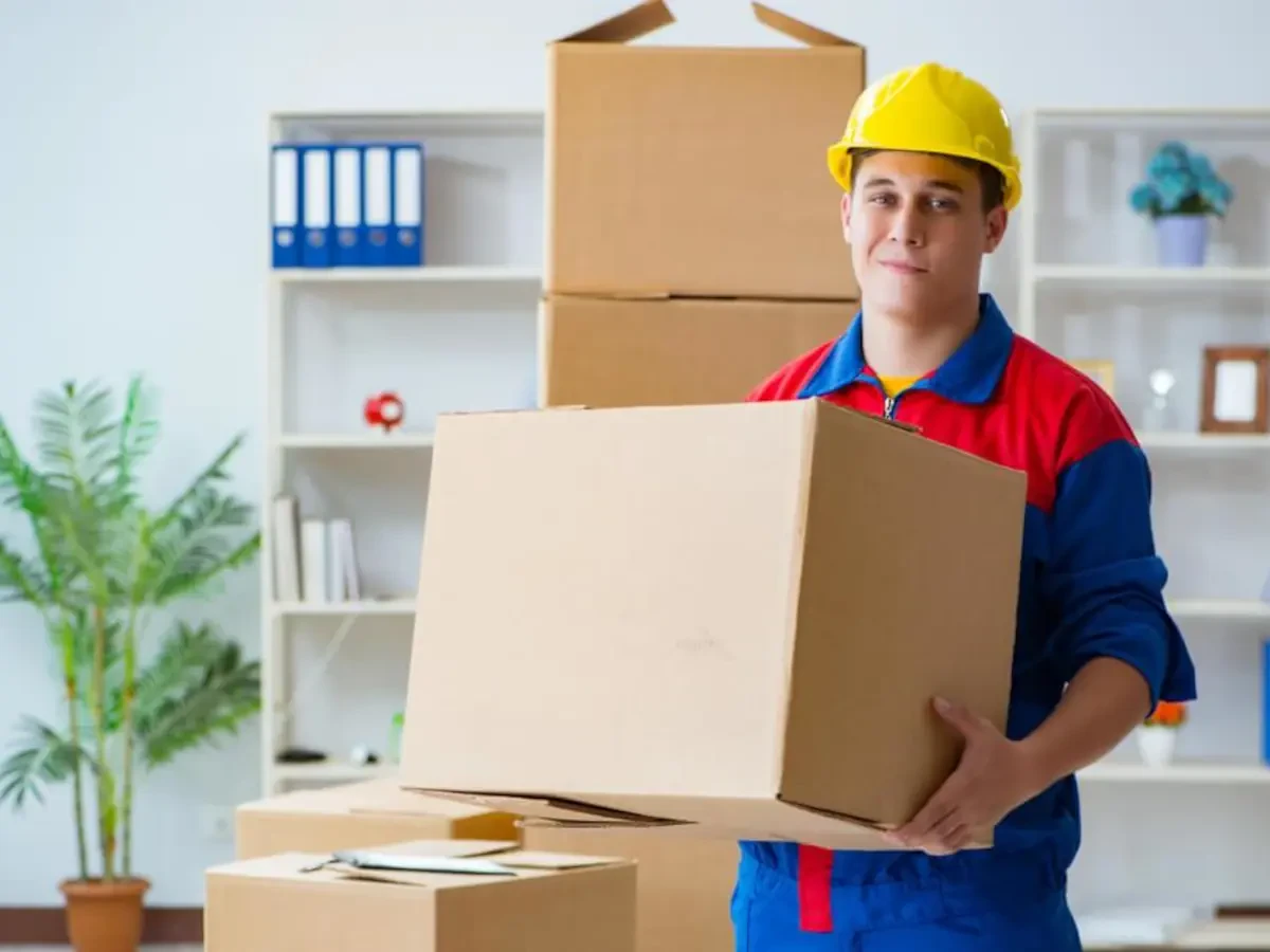 Best Dolores County Movers Near Me – Premium Dolores County, CO Moving Companies