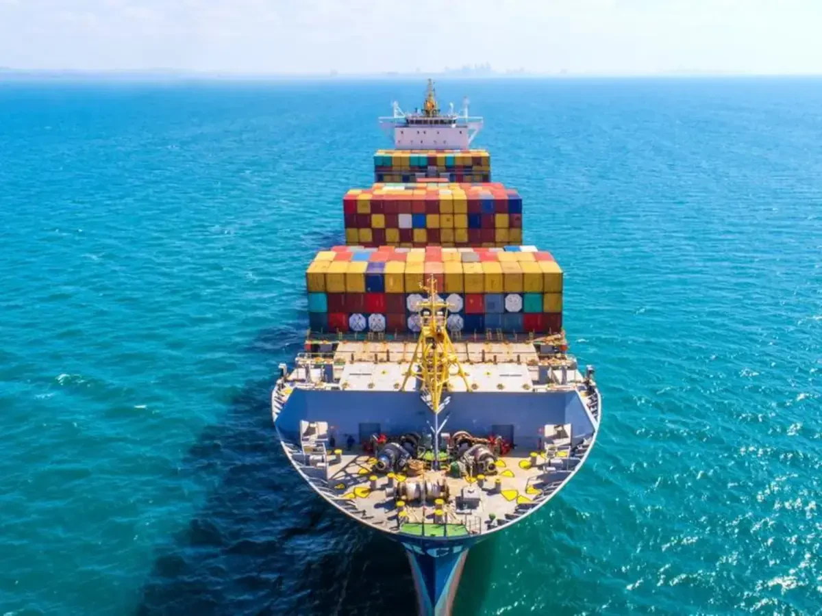 Best Dominica International Moving Companies