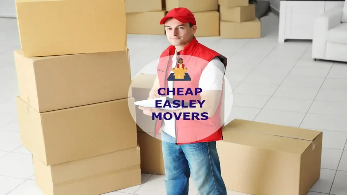 Best Easley Movers Near Me Premium Moving Companies
