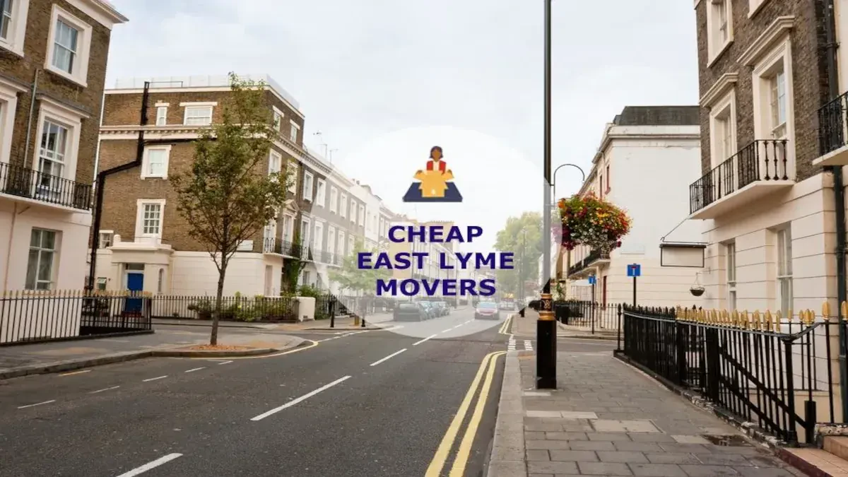 Best East Lyme Movers Near Me – Premium East Lyme, CT Moving Companies