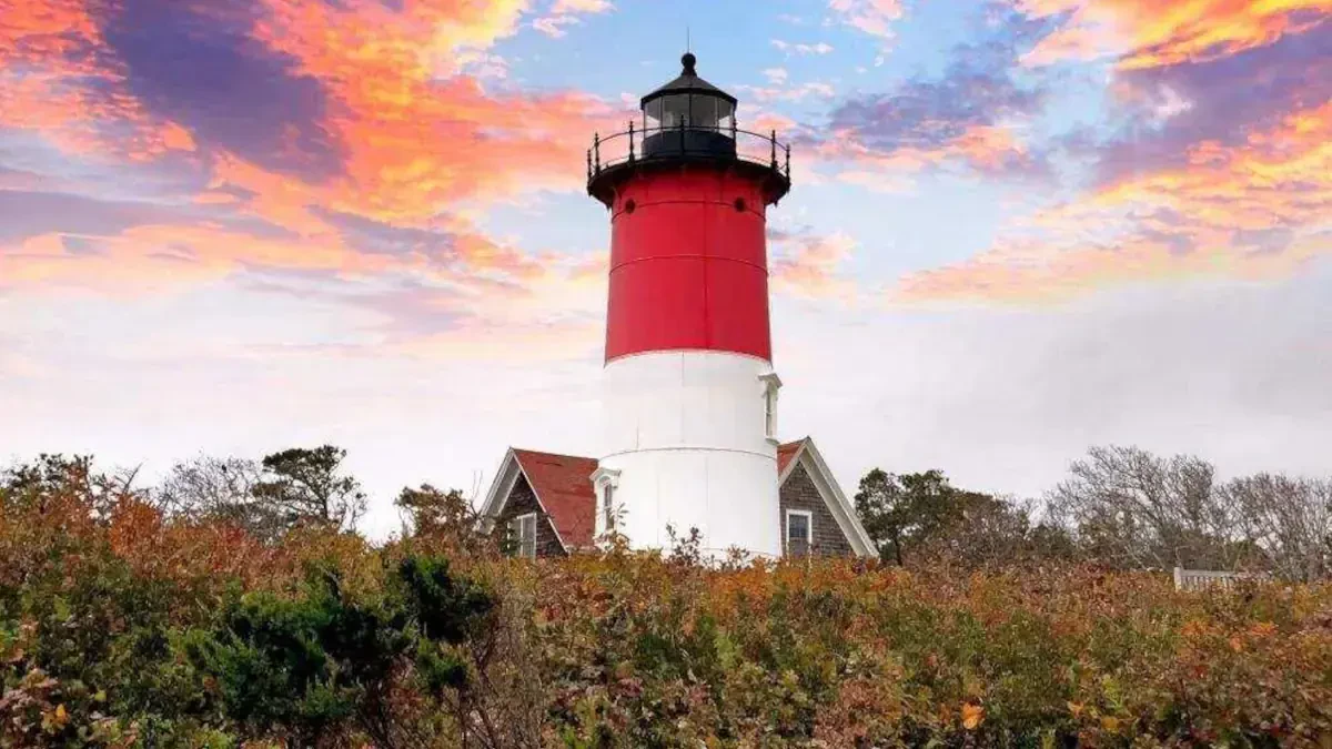 Best Eastham Movers Near Me – Premium Eastham, MA Moving Companies