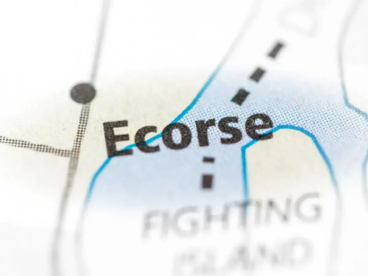 Best Ecorse Movers Near Me – Premium Ecorse, MI Moving Companies