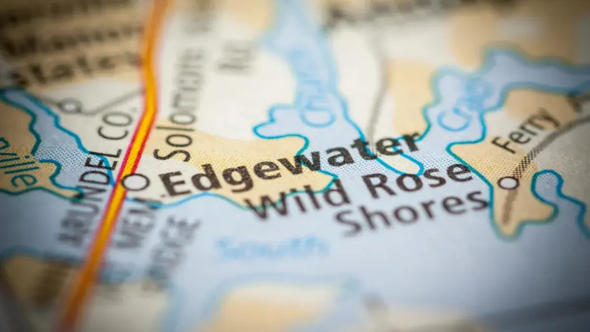 Best Edgewater Movers Near Me – Premium Edgewater, CO Moving Companies