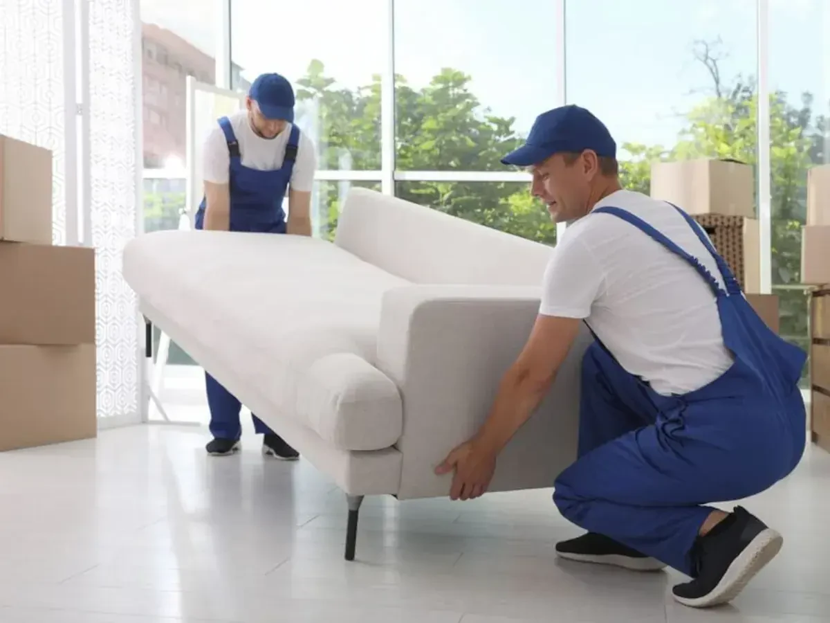 Edmonton To Fredericton Movers Near Me – Top Moving Companies Rates