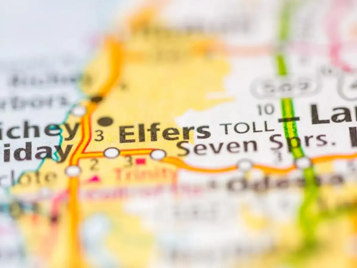 Best Elfers Movers Near Me – Premium Elfers, FL Moving Companies