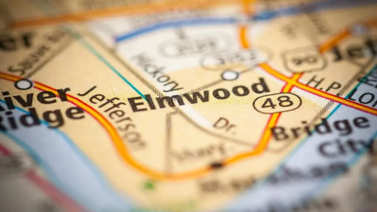 Best Elmwood Movers Near Me – Premium Elmwood, LA Moving Companies