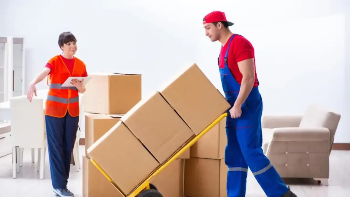 Best Enfield Movers Near Me – Premium Enfield, NY Moving Companies