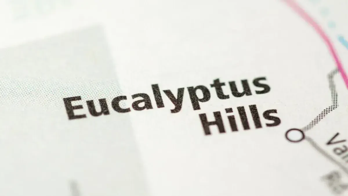 Best Eucalyptus Hills Movers Near Me – Premium Eucalyptus Hills, CA Moving Companies