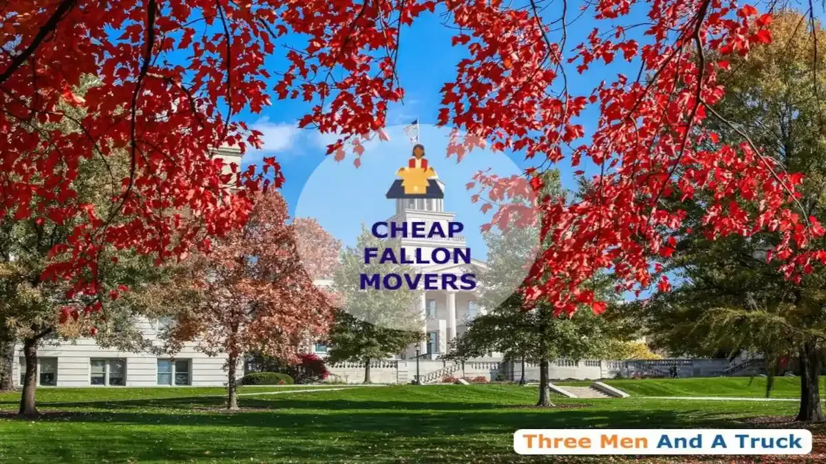 Best Fallon Movers Near Me – Premium Fallon, IL Moving Companies