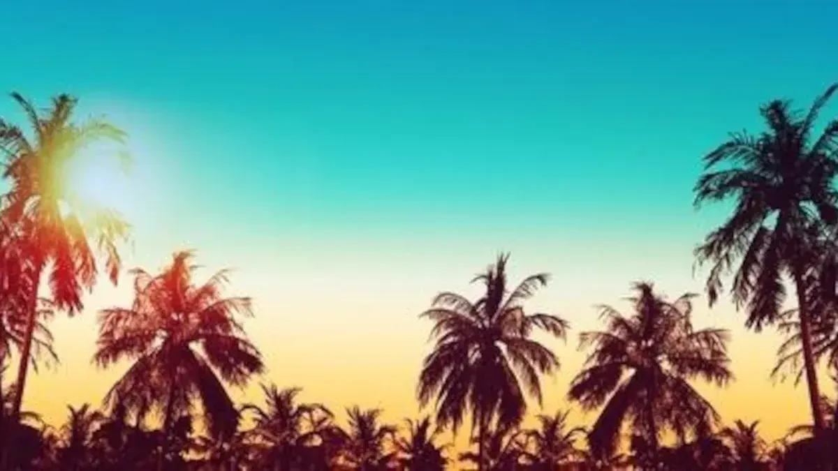 Moving Companies Florida To California