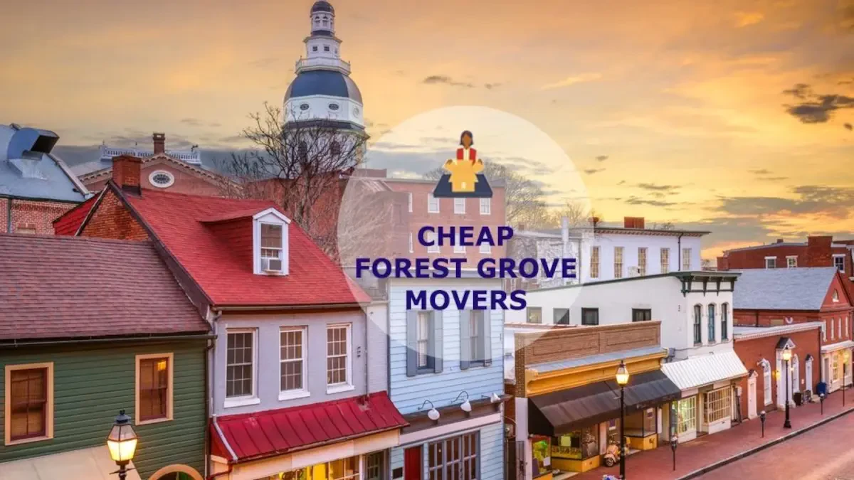 Best Forest Grove Movers Near Me – Premium Forest Grove, OR Moving Companies