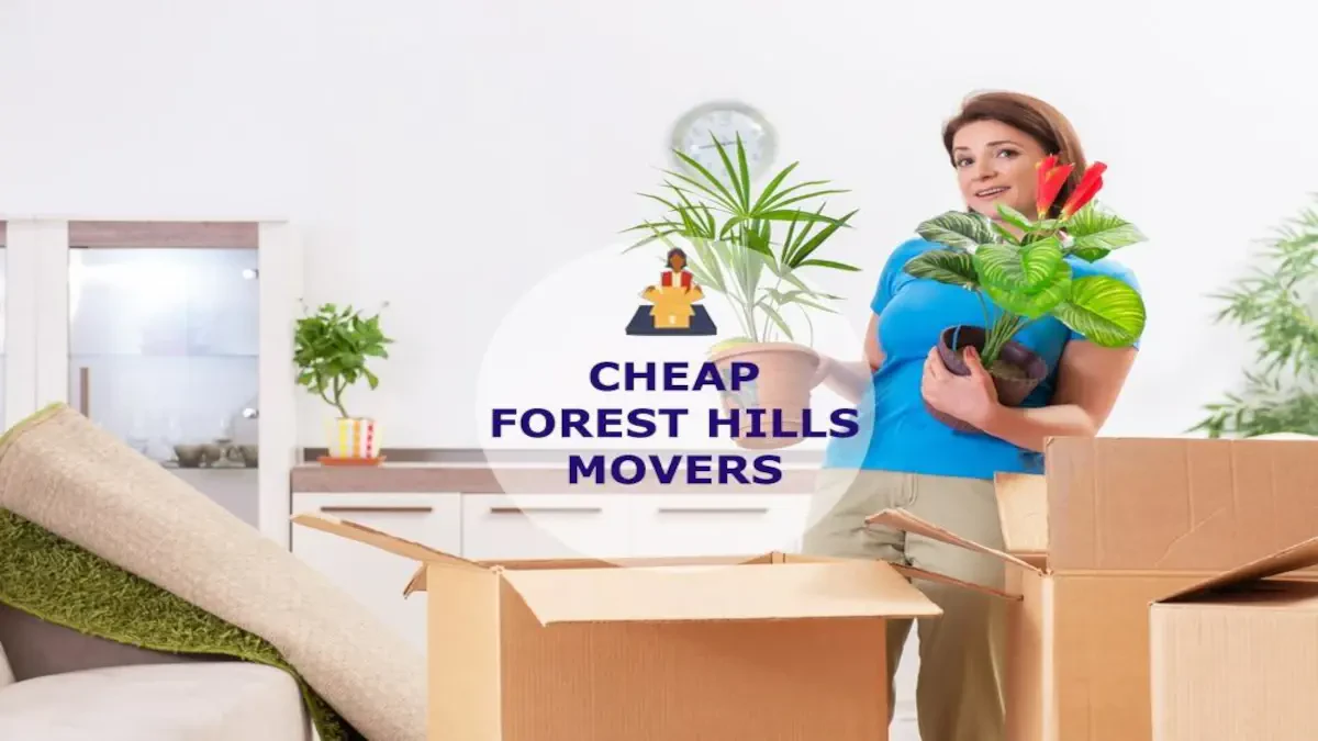 Best Forest Hills Movers Near Me – Premium Forest Hills, MI Moving Companies