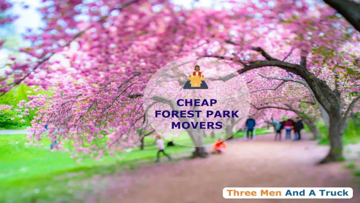 Best Forest Park Movers Near Me – Premium Forest Park, IL Moving Companies