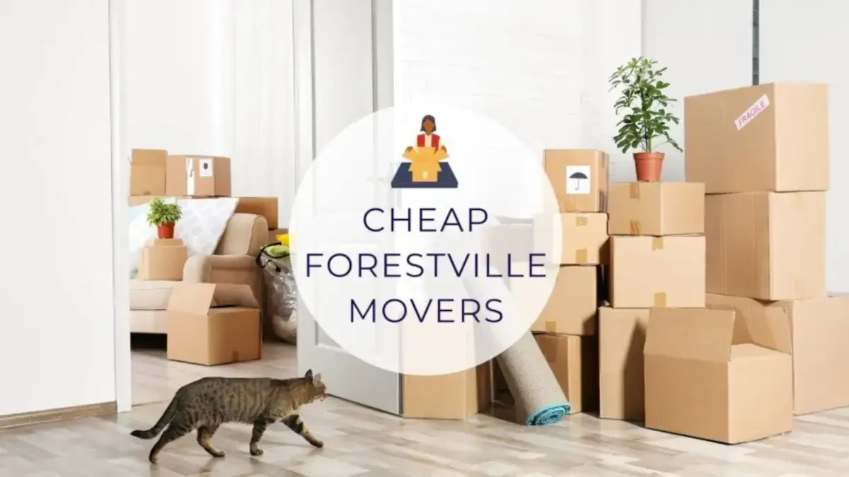 Best Forestville Movers Near Me – Premium Forestville, MD Moving Companies