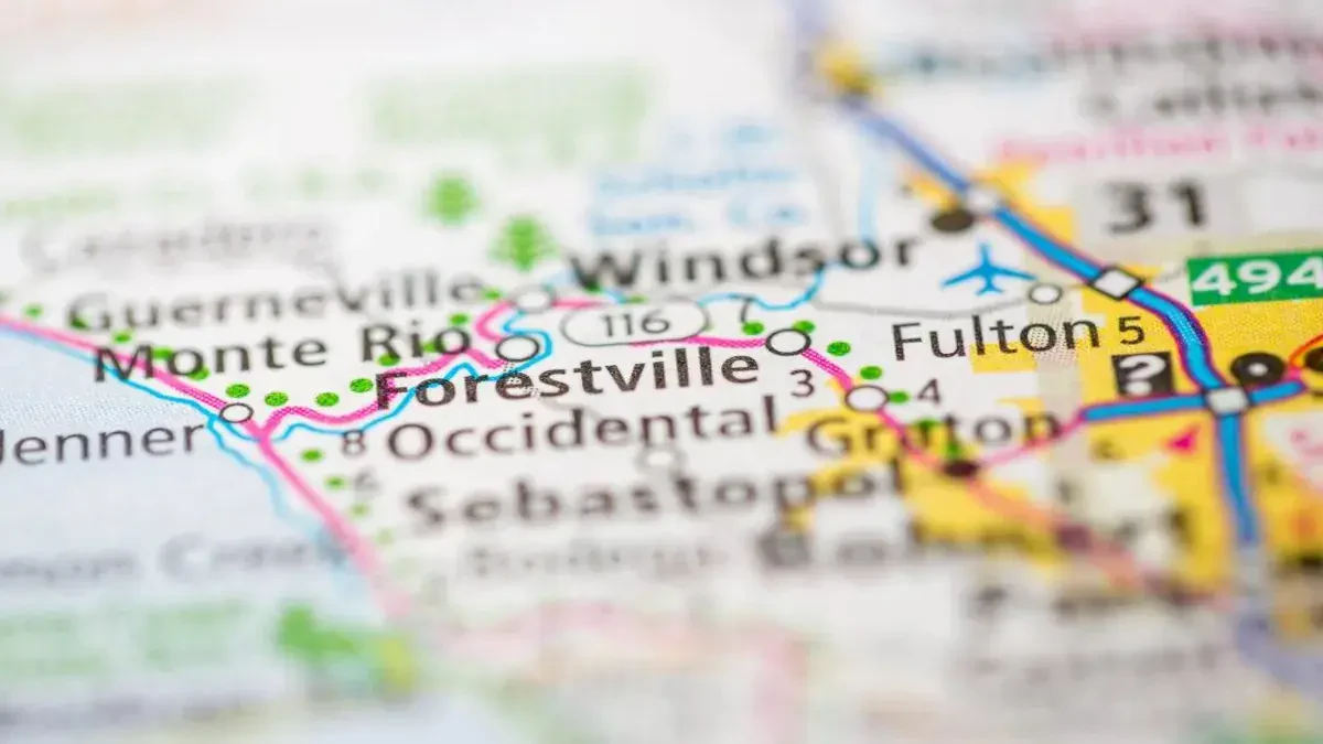 Best Forestville Movers Near Me – Premium Forestville, CA Moving Companies