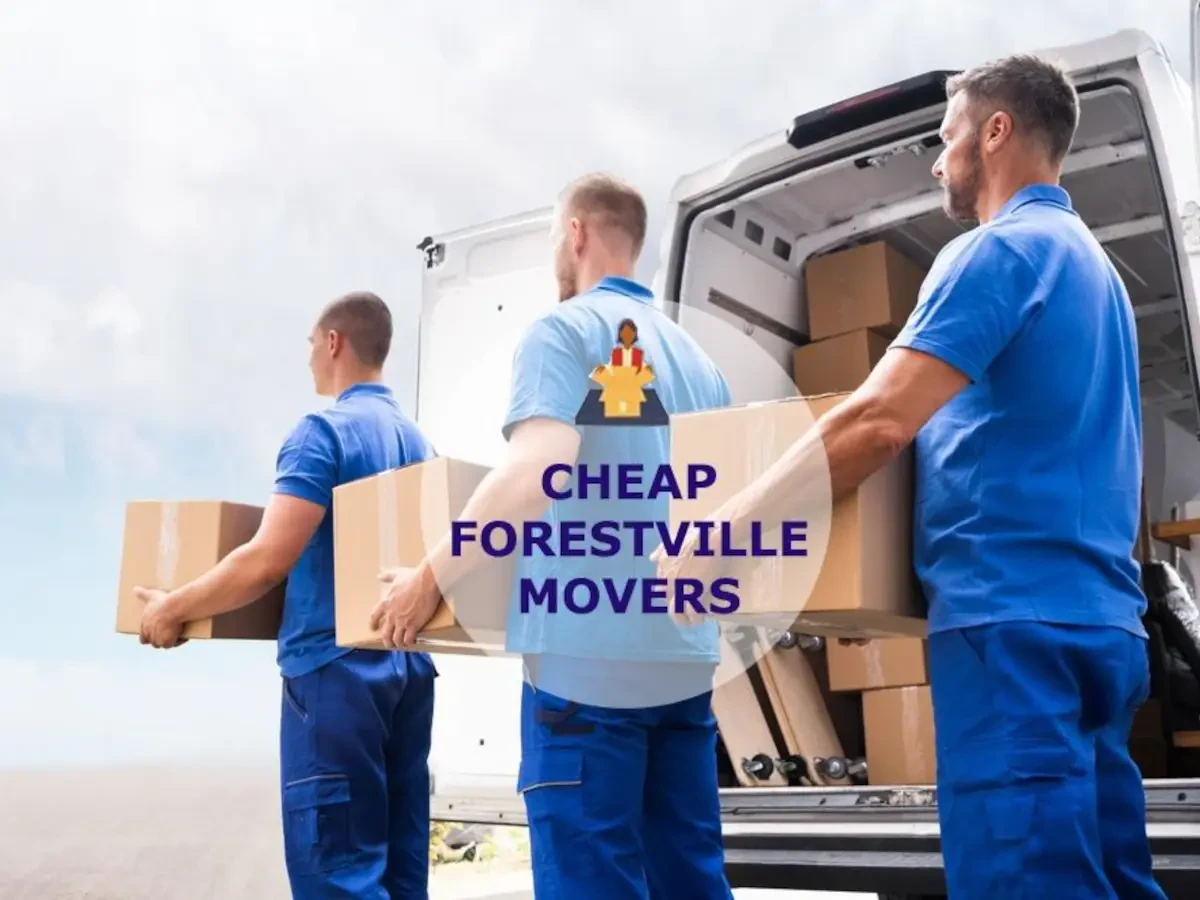 Best Forestville Movers Near Me – Premium Forestville, OH Moving Companies