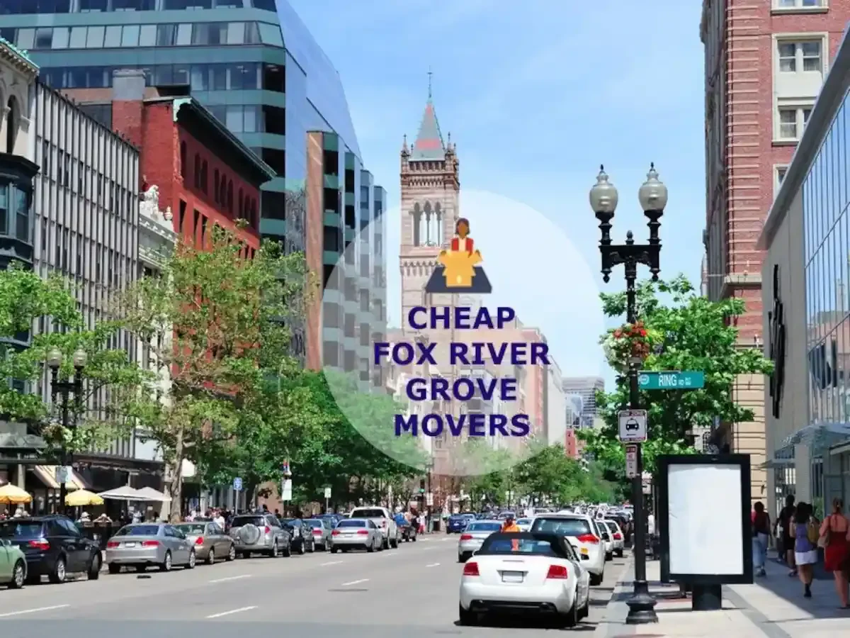 Best Fox River Grove Movers Near Me Premium Moving Companies