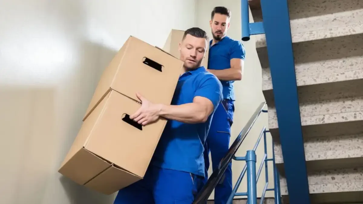 Best Franklin County Movers Near Me – Premium Franklin County, PA Moving Companies