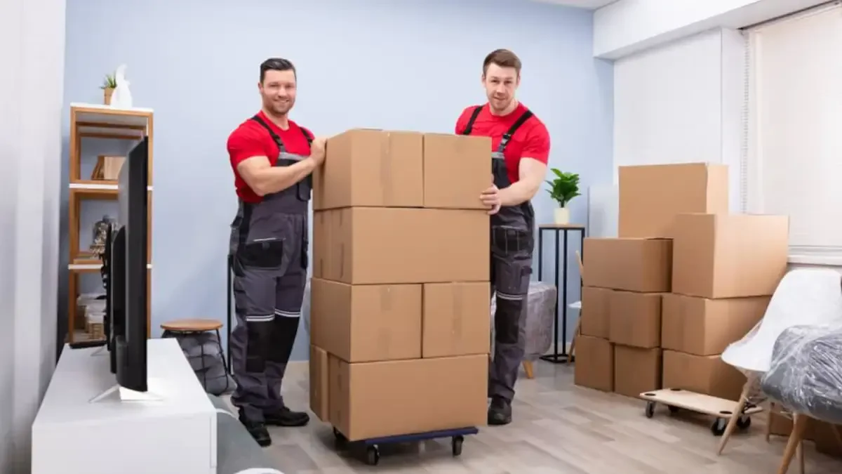 Best Fredonia Movers Near Me – Premium Fredonia, WI Moving Companies