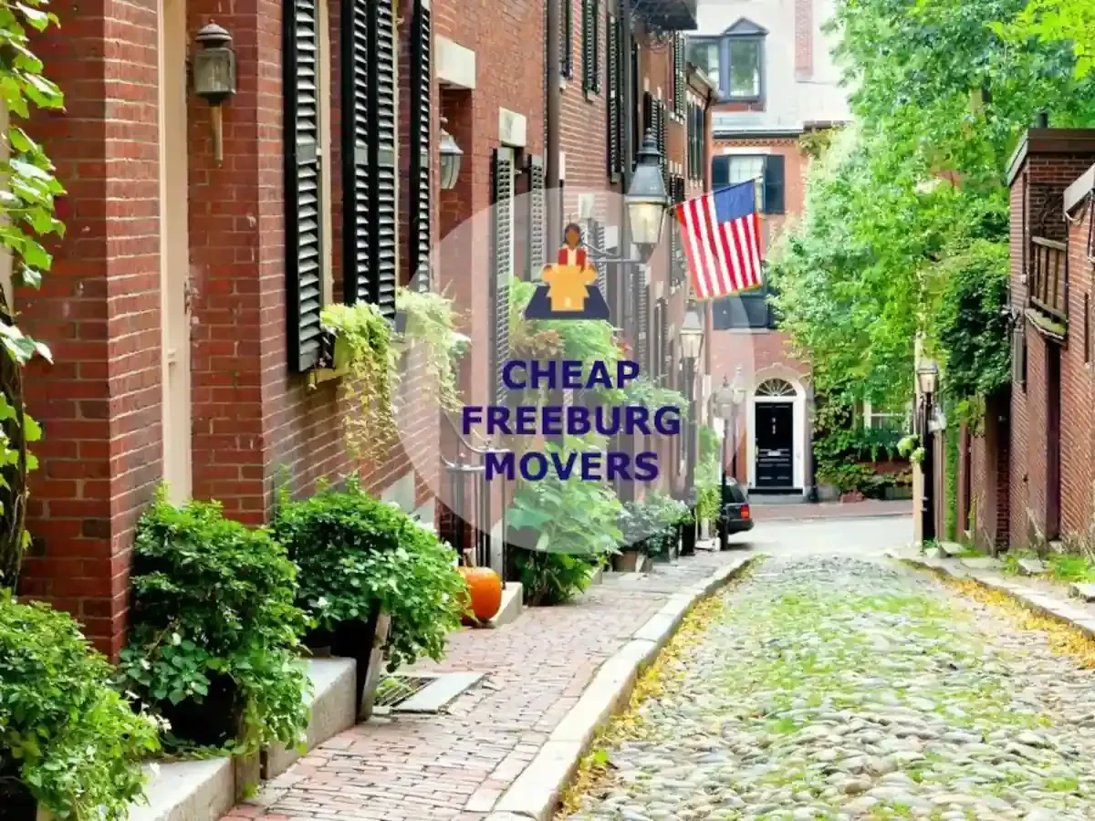 Best Freeburg Movers Near Me – Premium Freeburg, IL Moving Companies