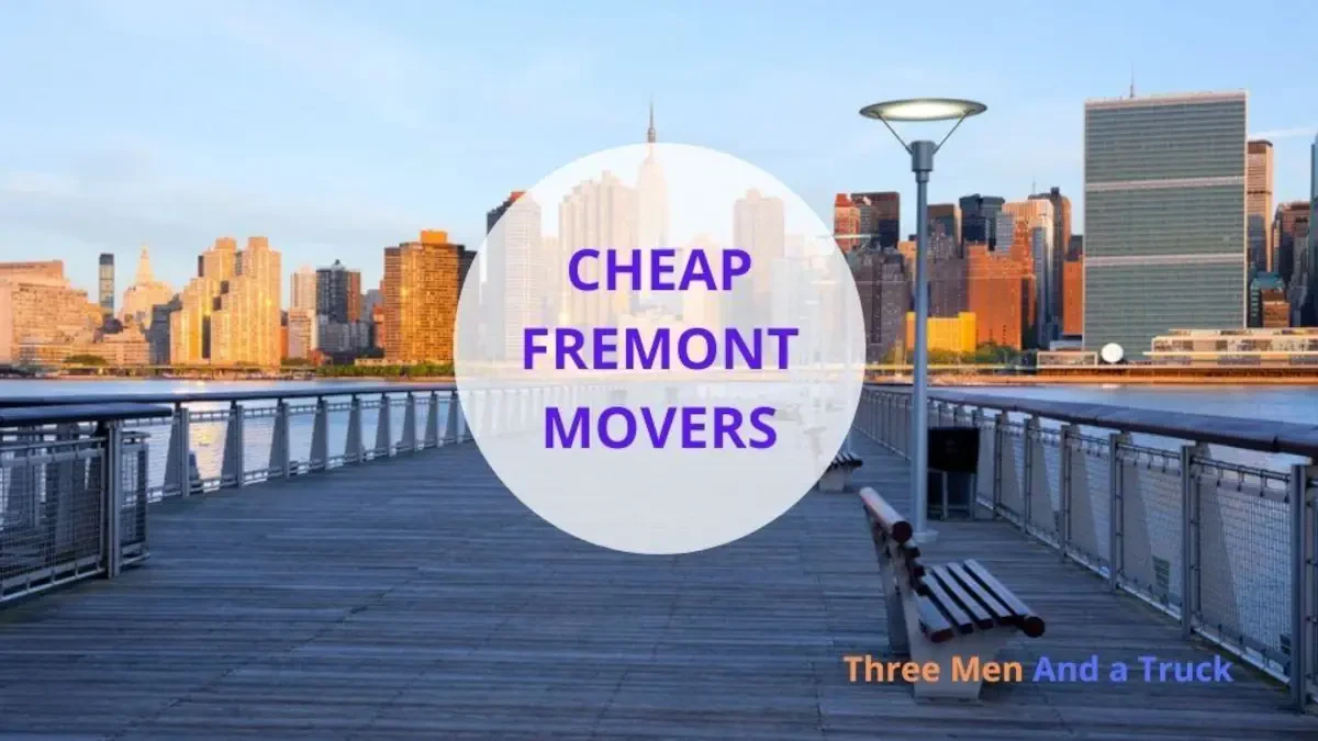 Best Fremont Movers Near Me Premium Moving Companies
