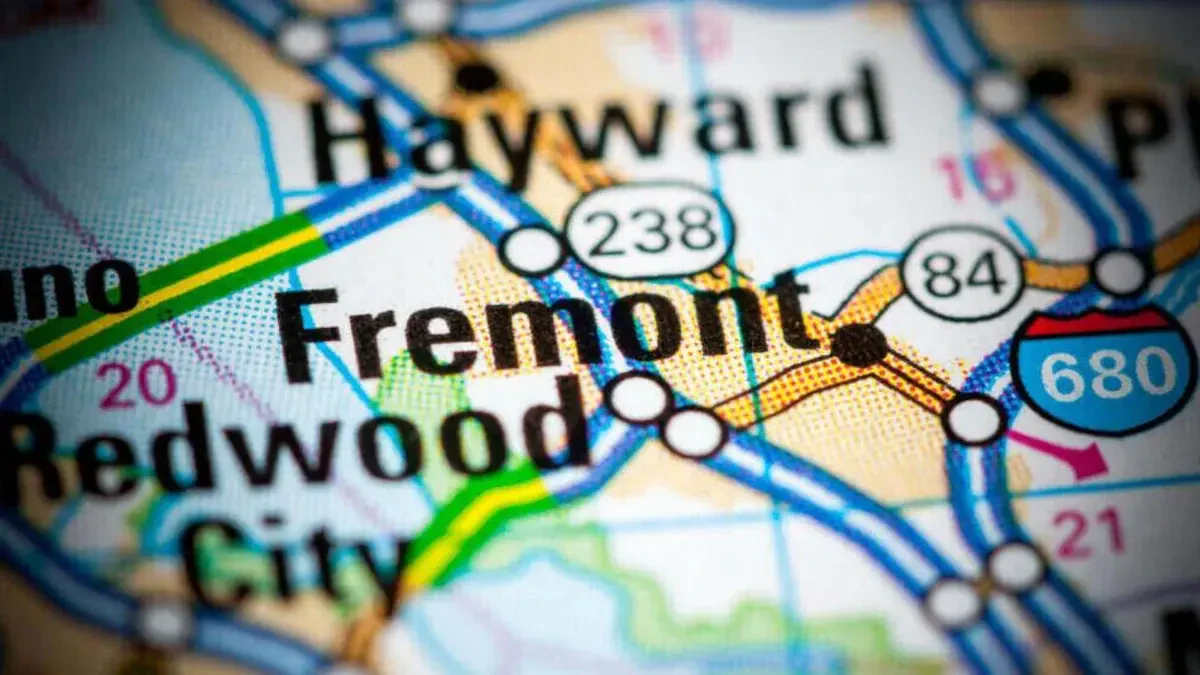 Best Fremont Furniture Movers Near Me