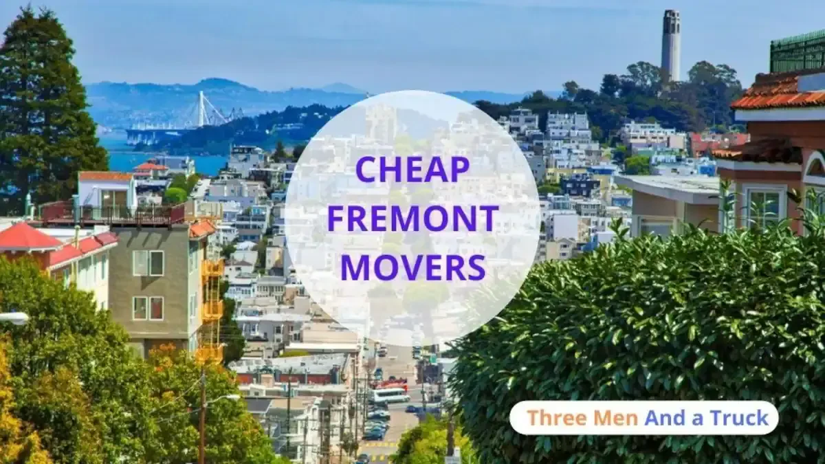 Best Fremont Movers Near Me Premium Moving Companies