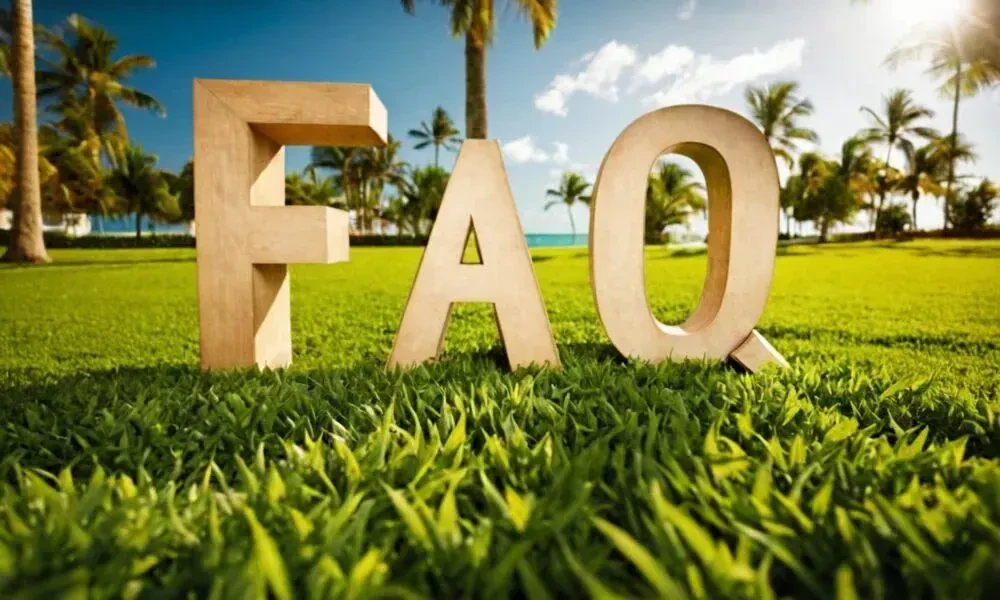 Frequently Asked Question For You