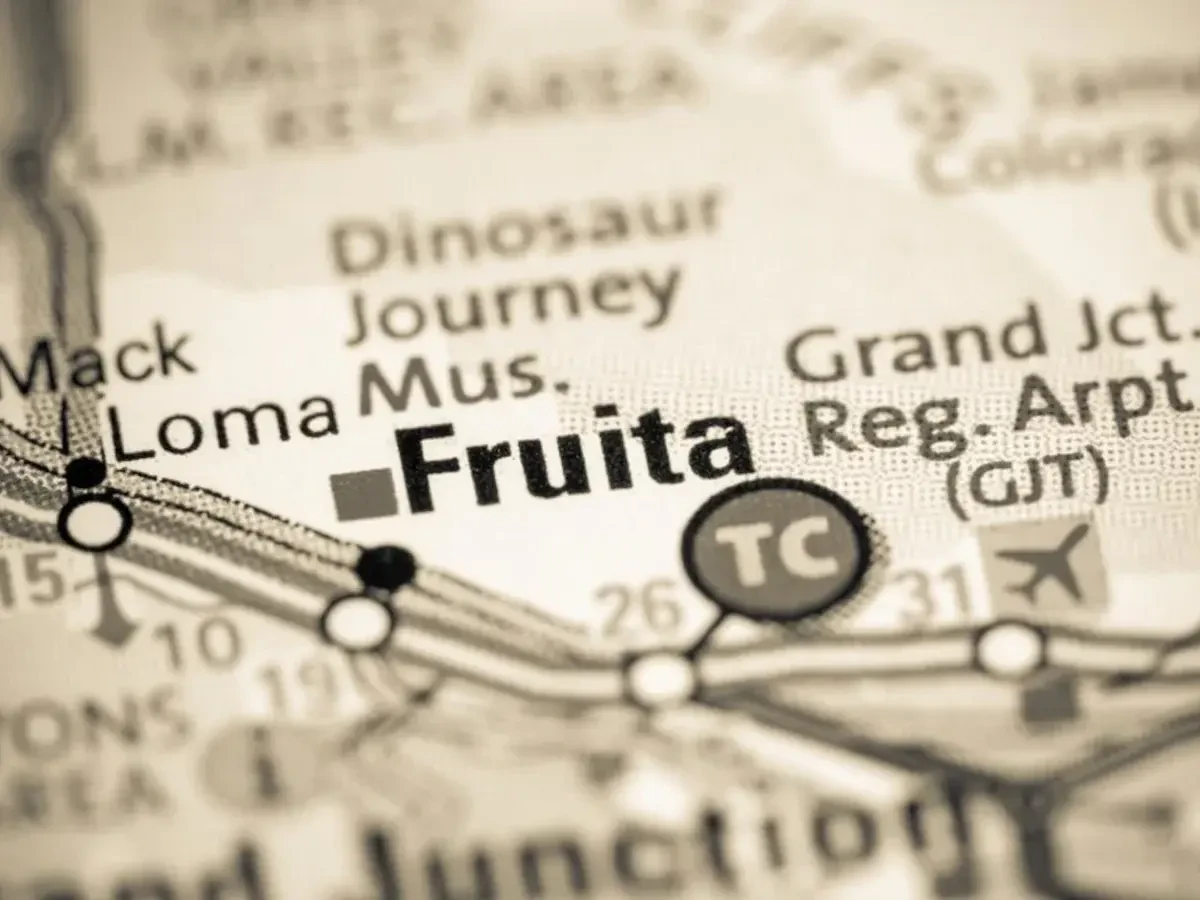 Best Fruita Movers Near Me – Premium Fruita, CO Moving Companies