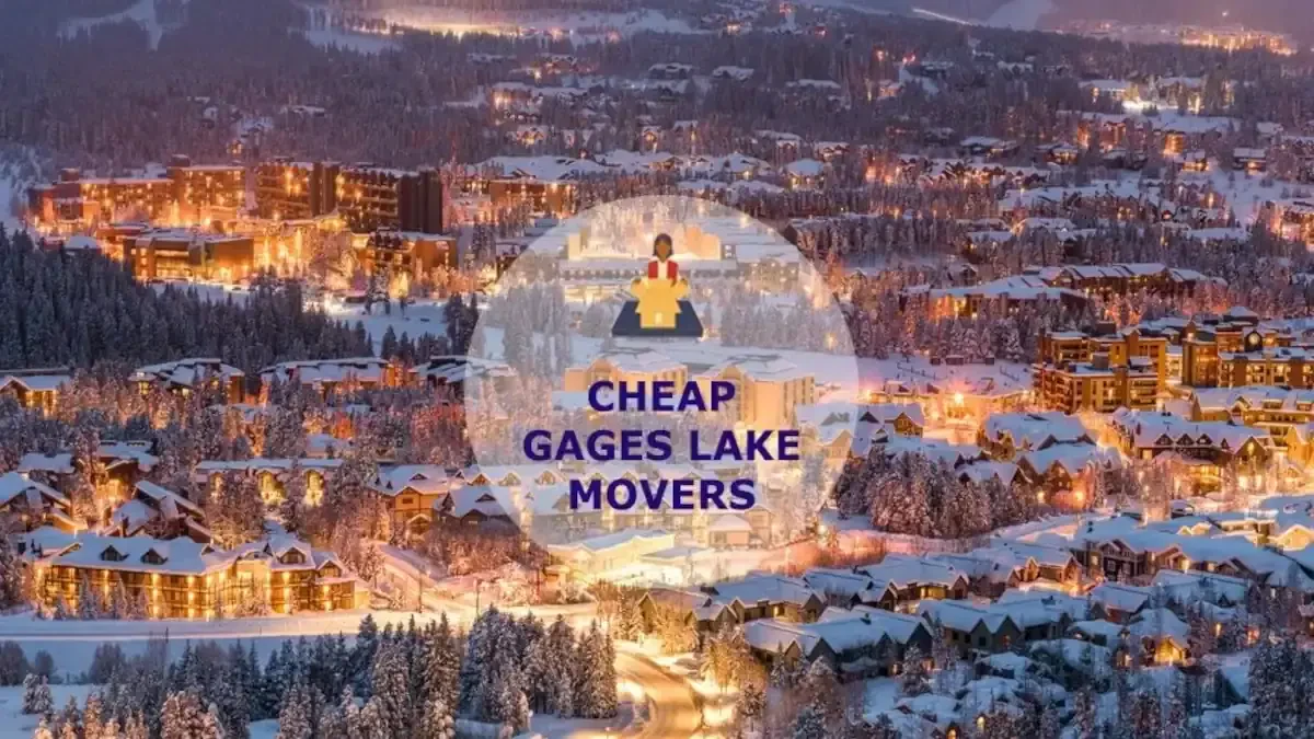 Best Gages Lake Movers Near Me – Premium Gages Lake, IL Moving Companies