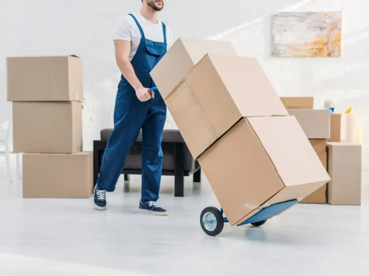 Best Gassville Movers Near Me – Premium Gassville, AR Moving Companies
