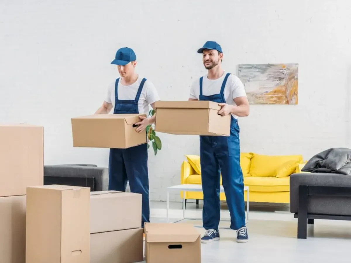 Best Genesee County Movers Near Me – Premium Genesee County, MI Moving Companies