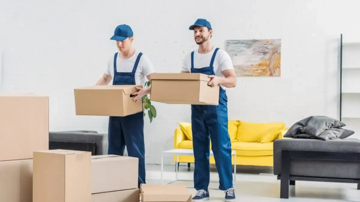Best Genesee County Movers Near Me – Premium Genesee County, NY Moving Companies