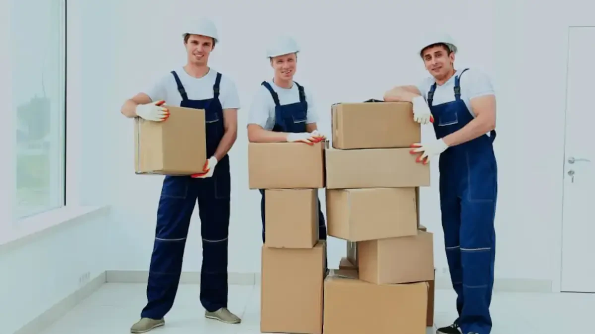 Best Georgetown Island Movers Near Me – Premium Georgetown Island, ME Moving Companies