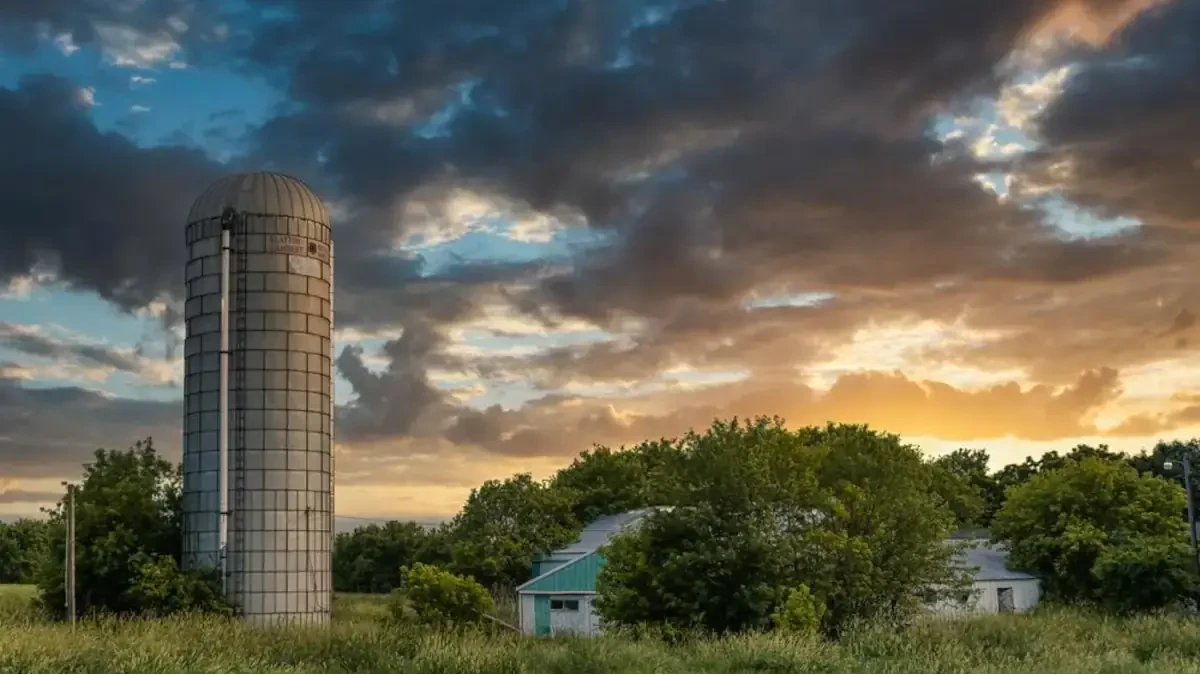 Best Germantown Movers Near Me – Premium Germantown, WI Moving Companies