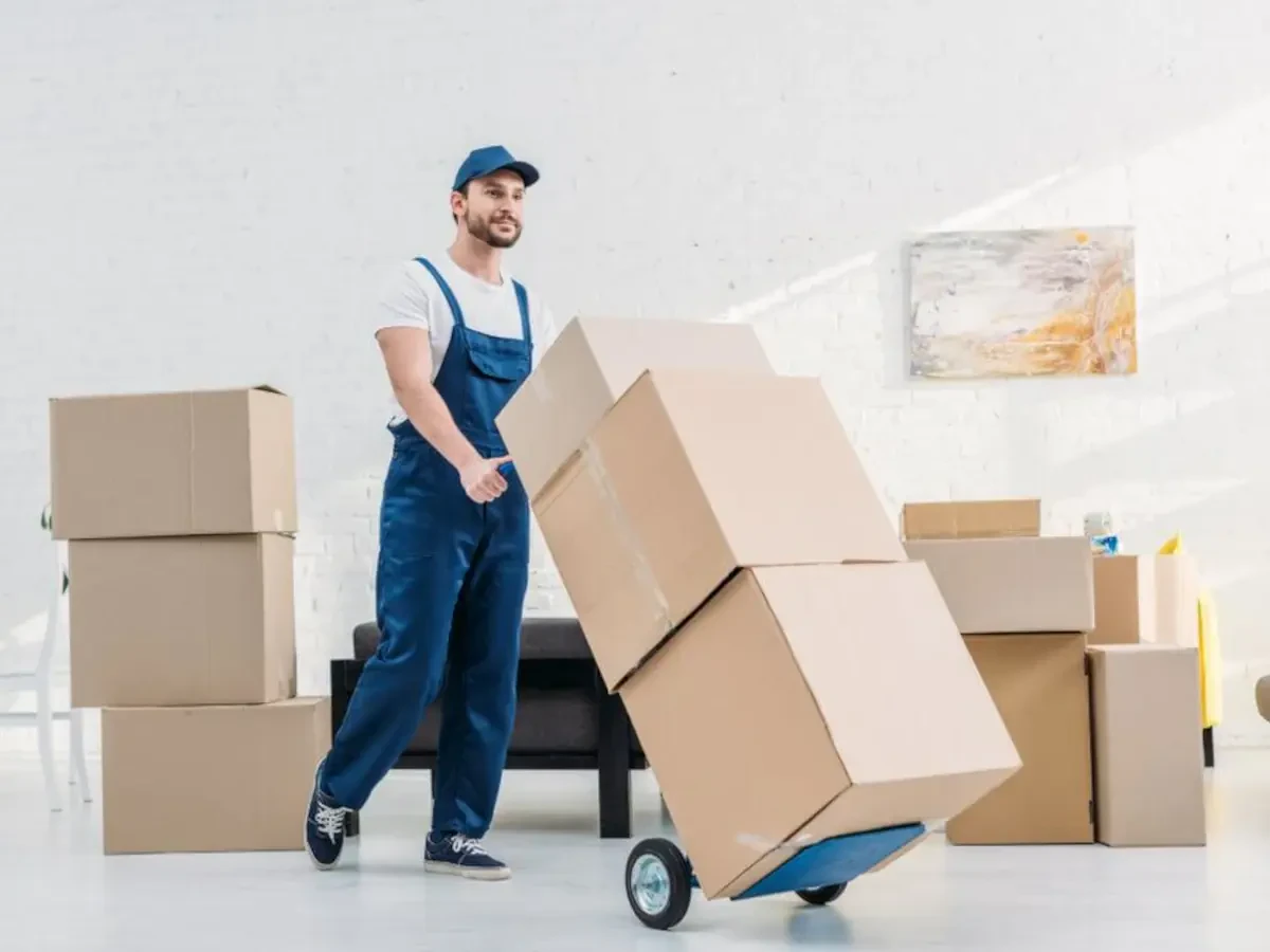 Best Gilmer County Movers Near Me – Premium Gilmer County, GA Moving Companies