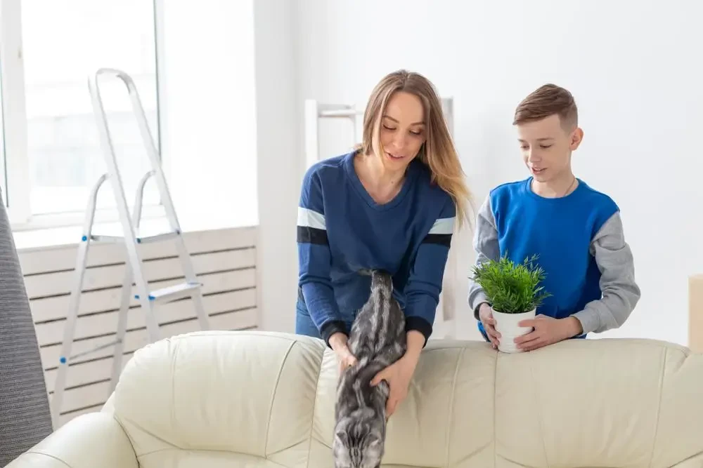 long distance movers in glencoe illinois